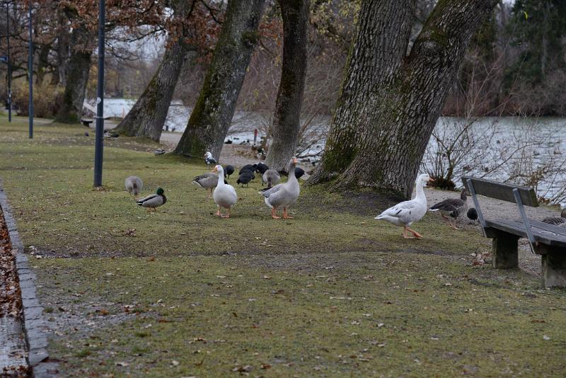 zrsen_291112_29.jpg - Salzburg 2012